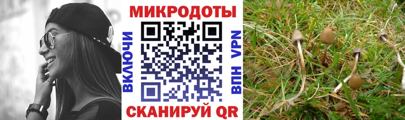 Псилоцибиновые грибы прущие грибы  Адыгейск 
